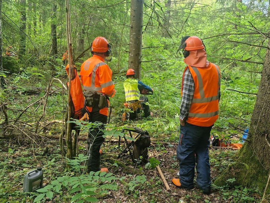 Flera personer i orangea och gula kläder bland träd och grönska
